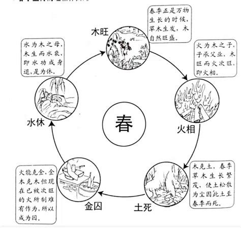 五行旺相休囚死|五行的旺、相、休、囚、死